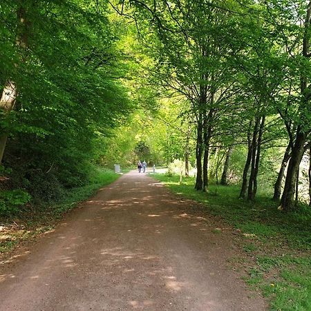 Ferienwohnung Am Saarweg Мерциг Экстерьер фото